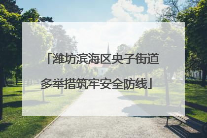 潍坊滨海区央子街道多举措筑牢安全防线
